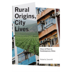 Rural Origins, City Lives: Class and Place in Contemporary China