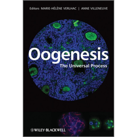 Oogenesis: The Universal Process