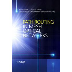 Path Routing in Mesh Optical Networks