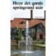 Hvor det gamle springvand står