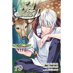 Food Wars!: Shokugeki no Soma, Vol. 19