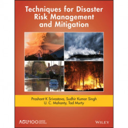 Techniques for Disaster Risk Management and Mitigation