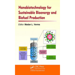Nanobiotechnology for Sustainable Bioenergy and Biofuel Production