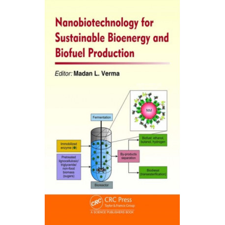 Nanobiotechnology for Sustainable Bioenergy and Biofuel Production