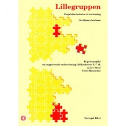 Lillegruppen: projektbeskrivelse & 1. evaluering efter ét år med Lillegruppen - et pilotprojekt om supplerende undervisning i en folkeskoles 6.-7. kl., Aslev Skole, Varde Kommune