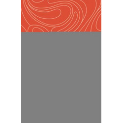 The Ultras: A Global Football Fan Phenomenon