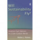 Will Sustainability Fly?: Aviation Fuel Options in a Low-Carbon World