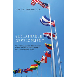 Sustainable Development: The UN Millennium Development Goals, the UN Global Compact, and the Common Good