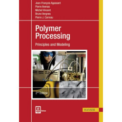 Polymer Processing: Principles and Modeling