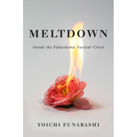 Meltdown: Inside the Fukushima Nuclear Crisis