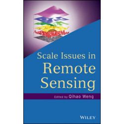 Scale Issues in Remote Sensing