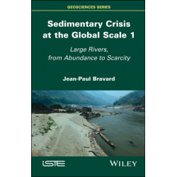 Sedimentary Crisis at the Global Scale 1: Large Rivers, From Abundance to Scarcity