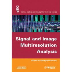 Signal and Image Multiresolution Analysis