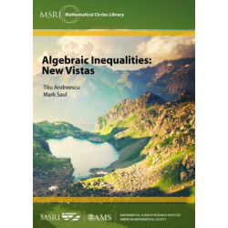 Algebraic Inequalities: New Vistas