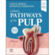 Cohen's Pathways of the Pulp