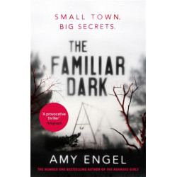 The Familiar Dark: The must-read, utterly gripping thriller you won't be able to put down