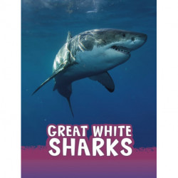 Great White Sharks