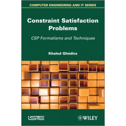 Constraint Satisfaction Problems: CSP Formalisms and Techniques
