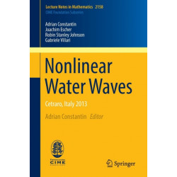 Nonlinear Water Waves: Cetraro, Italy 2013
