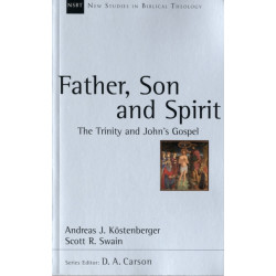 Father, Son and Spirit: The Trinity And John'S Gospel