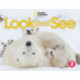 Look and See 2 (British English)