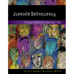 Juvenile Delinquency: Theory, Practice, and Law