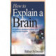 How to Explain a Brain: An Educator's Handbook of Brain Terms and Cognitive Processes