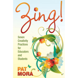 Zing! Seven Creativity Practices for Educators and Students