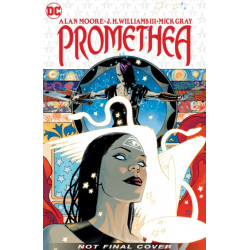 Promethea: The 20th Anniversary Deluxe Edition Book Three