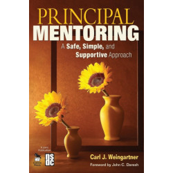 Principal Mentoring: A Safe, Simple, and Supportive Approach