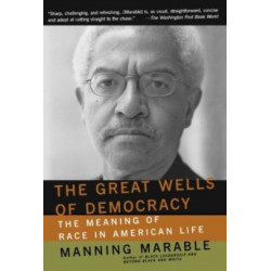 The Great Wells Of Democracy: The Meaning Of Race In American Life