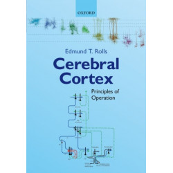 Cerebral Cortex: Principles of Operation