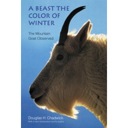 A Beast the Color of Winter: The Mountain Goat Observed