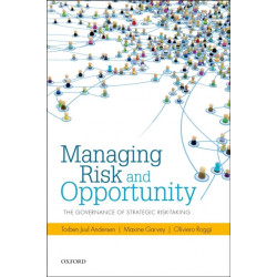 Managing Risk and Opportunity: The Governance of Strategic Risk-Taking