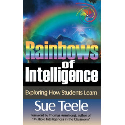 Rainbows of Intelligence: Exploring How Students Learn