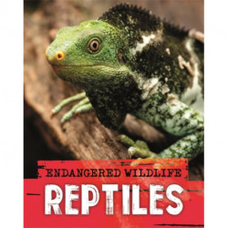 Endangered Wildlife: Rescuing Reptiles