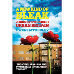 A New Kind of Bleak: Journeys through Urban Britain