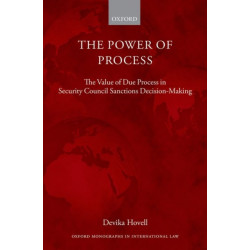 The Power of Process: The Value of Due Process in Security Council Sanctions Decision-Making