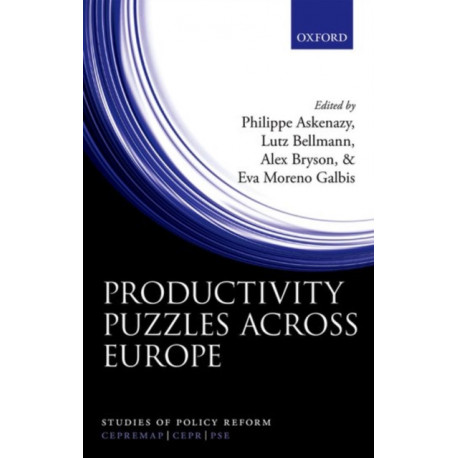 Productivity Puzzles Across Europe