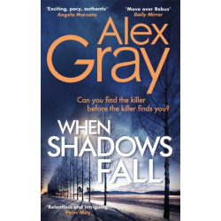 When Shadows Fall: Book 17 in the Sunday Times bestselling crime series