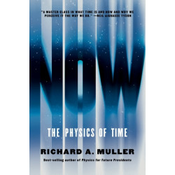 Now - The Physics of Time