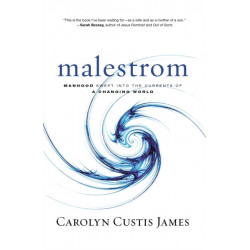 Malestrom: Manhood Swept into the Currents of a Changing World