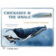 Chickadee & The Whale: A Baby Chickadee's Adventure