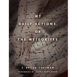 My Daily Actions, or the Meteorites