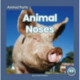 Animal Noses