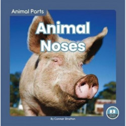 Animal Noses