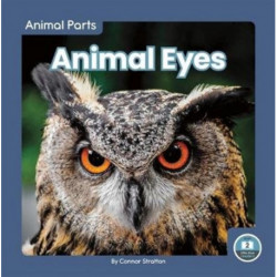 Animal Eyes