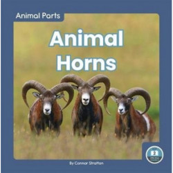 Animal Horns