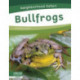 Bullfrogs