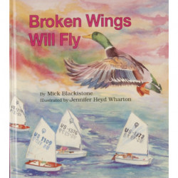 Broken Wings Will Fly